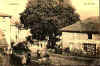 TM3.JPG (52828 octets)