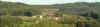 forestpano.jpg (46494 octets)