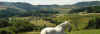 labrossepano.jpg (48735 octets)